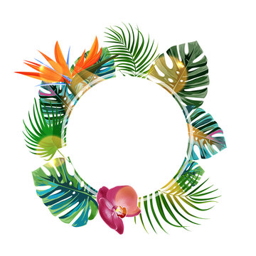 Tropical plants cicle design template. Bird of paradise, monstera, palm leaves composition with blan space.