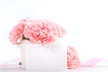 Beautiful blooming baby pink tender carnations in a white vase isolated on bright background, may mothers day greeting mum ideas concept photography, close up, copy space, mock up