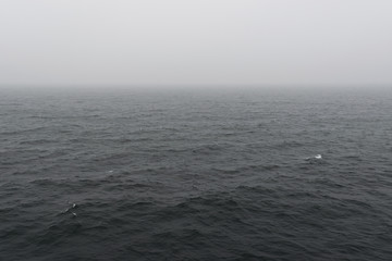 Obraz premium Fog over Baltic Sea, misty day on The Gulf of Finland.