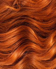 Hair. Hair Texture. Healthy hair