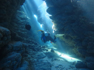 Fototapeta premium 2014, Egypt, diving, depth, entertainment, extreme, underwater, wreck,Thistlehorm