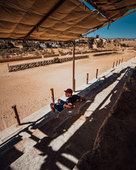 Photo d'un homme dans un stade gréco-romain, Jerash, Jordanie