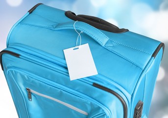 Young woman with travel bag on background