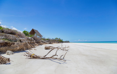 Tropicail sunny island