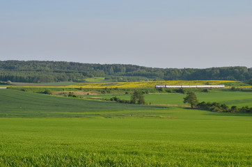Warmia. Wiosenny krajobraz. Polska