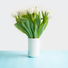 Mothers day bouquet of white tulip in vase on pastel blue. Spring concept.