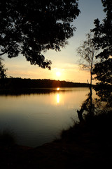 Fototapeta na wymiar Golden sunset or sunrise with tree silhouettes over a forest lake