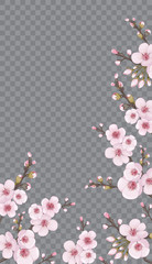 Handmade background in oriental style. Festive frame vertical of sakura flowers. Pink on transparent background. The idea of textile design, wallpaper, packaging, printing, story.