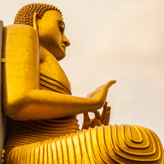 buddha statue in dambulla