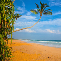Untouched tropical beach in Sri Lanka