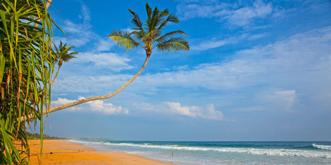 Untouched tropical beach in Sri Lanka