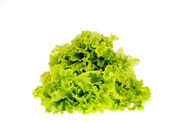 Obraz premium green salad isolated on a white background