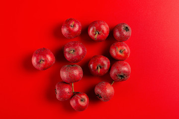 top view ripe hawthorns on a red backgrond