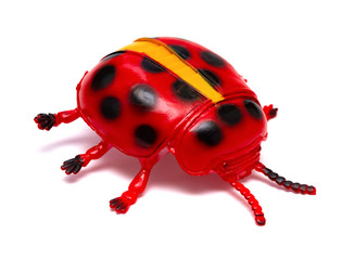 dummy ladybug on a white bckground © Freer
