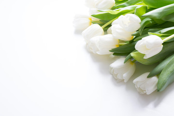 Fototapeta na wymiar Bouquet of white tulip on white. Floral pattern. Space for text.