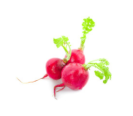 Small garden radish isolated on white background