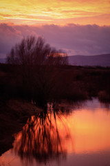 Obraz premium very pink sunset with a tree and a lake in the foreground and mountains in the background