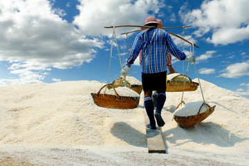 worker harvesting salt  in salt field