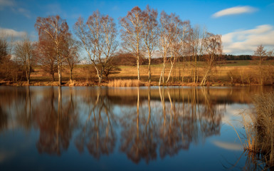 Obraz premium reflections of trees in a lake and blue sky in the background and few clouds