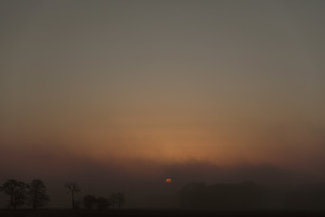 Der Morgen erwacht ganz leise im nebel