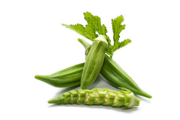 Okra (Abelmoschus esculentus (L.) Moench) isolated in white background.