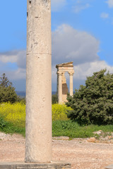 Fototapeta na wymiar Sanctuary of Apollo Hylates - Kourion in spring, Cyprus