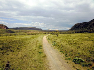 Fototapeta premium road in field