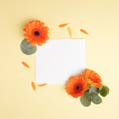 Flower composition, gerberas, eucalyptus branches, petals, paper blank.  Flat lay, top view, copy space