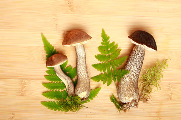 mushrooms and leaves of fern on a wooden background