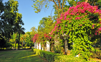 Maria Luisa Park in Seville, Andalusia, Spain