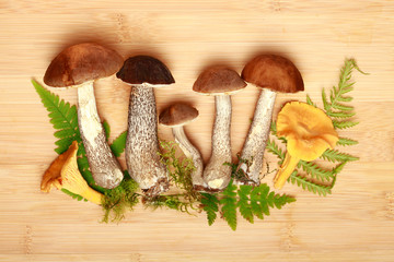 mushrooms and leaves of fern on a wooden background