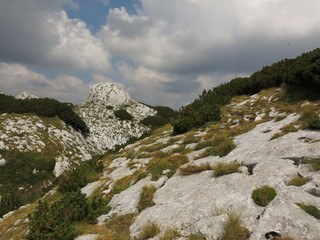 montenegro