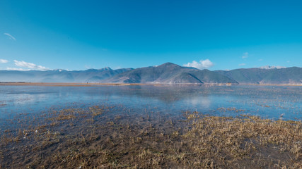 Yila Grassland with Napa Lake