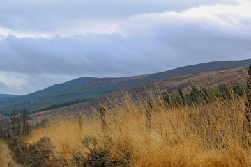 Landscapes hilly areas of Ireland. Flora of Ireland. Nature Reserve.