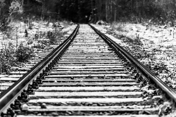 Fototapeta premium Railway tracks in black and white. Perspective view