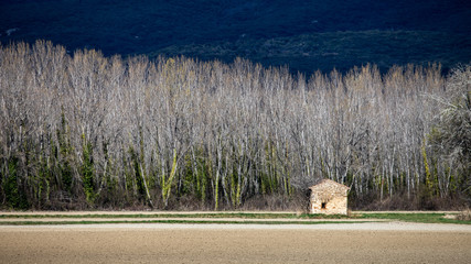 landscapes of Provence, near the village of Donzère, France