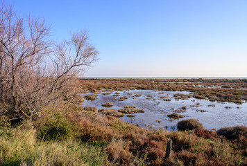 Etang du Fangassier en Camargue