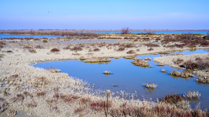 Etang du Fangassier en Camargue