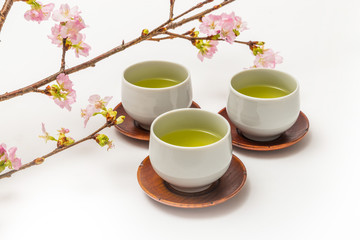 Obraz na płótnie Canvas お茶の会　green tea made in Japan