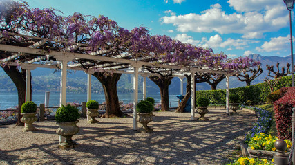 OLYMPUS DIGITAL CAMERA © martagro