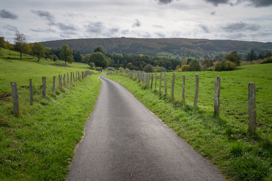 Small asphalt road winds through the green fields of the Ardennes