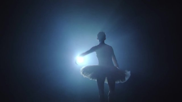 A ballerina is dancing on the stage