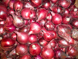 a pile of fresh red onions of the new crop