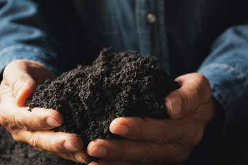 Male holding soil in the hands for planting concept.