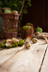 small easter eggs on a wooden background with plants