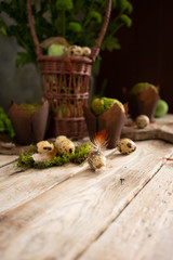 Easter eggs and muffins with pistachio in a traditional rustic design