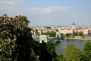 Fototapeta na wymiar budapest, hungary, city, landscape, view, panorama, architecture, europe, bridge, Danube, river, hill, building, cityscape, panoramic, houses, green