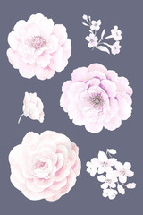Bloom watercolor floral