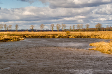 Obraz premium Rzeka Narew. Wiosna nad Narwią. Piękno Podlasia