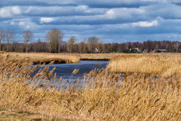 Rzeka Narew. Wiosna nad Narwią. Piękno Podlasia
